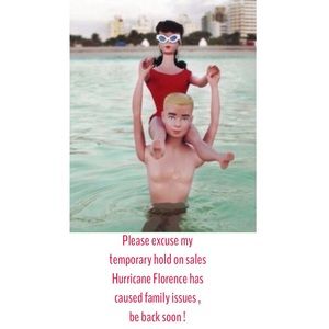 All sales and responses on hold for a few days !!